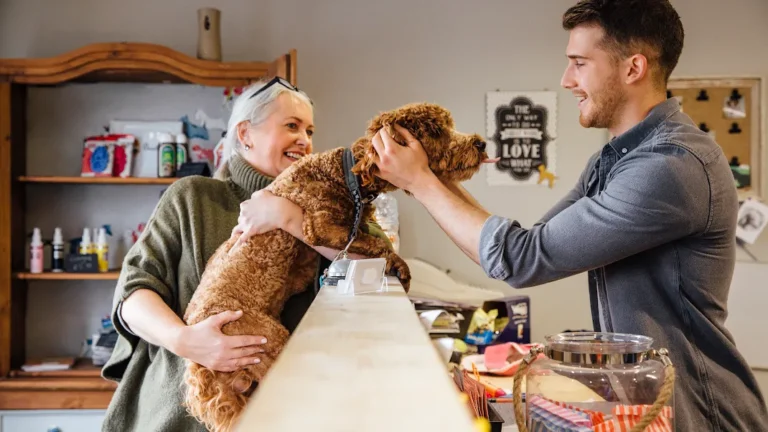 Google Ads vs Local Services Ads for small business marketing